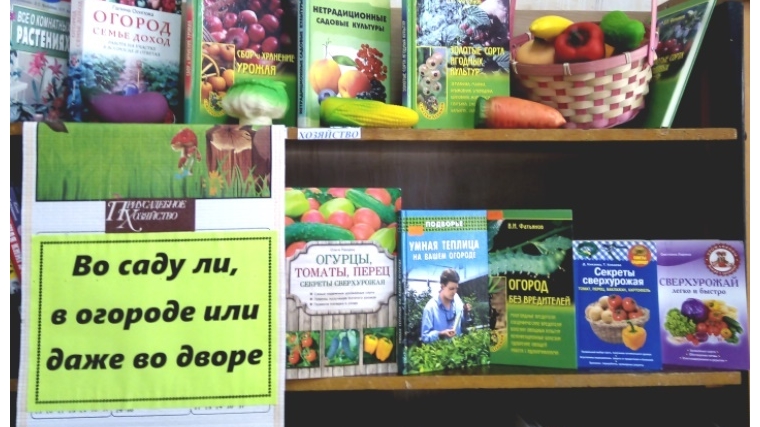 В Кировской сельской библиотеке ЦБС Ибресинского района начала свою работу книжная выставка-помощница «Во саду ли, в огороде или даже во дворе»