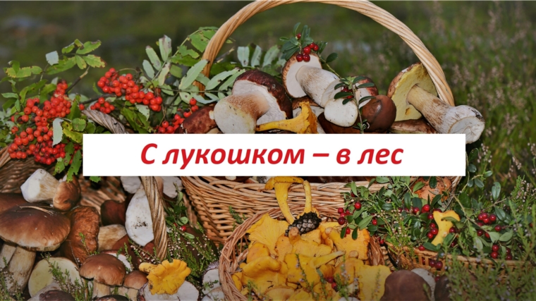 Урок грибоведения и грибоедения «Полное лукошко»