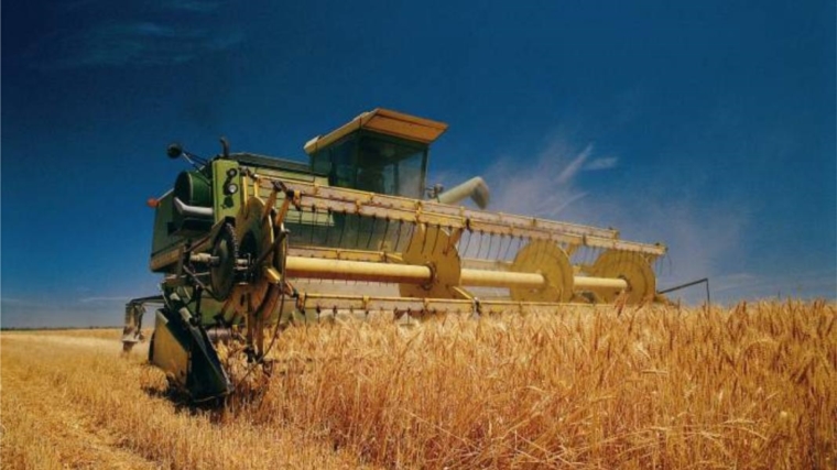Намолот зерна в Чувашии превысил показатель прошлого года