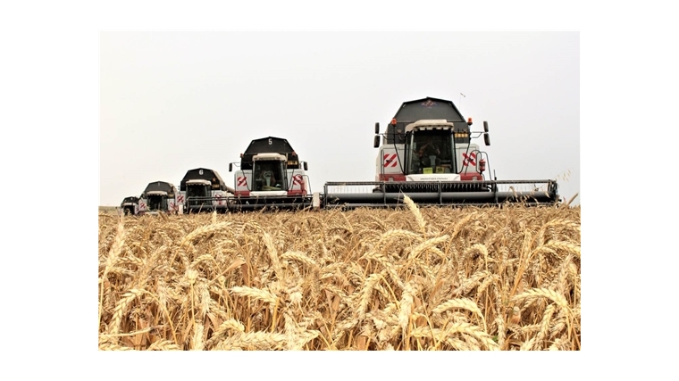 Намолот зерна в Чувашии приближается к рекордному показателю