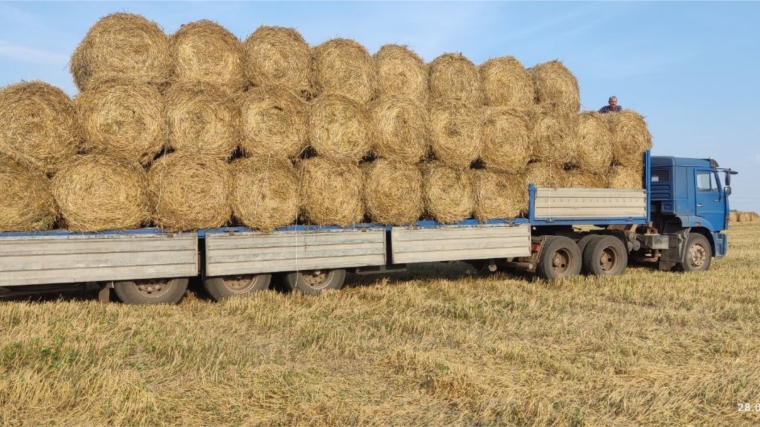 Почти на 94% выполнен план по заготовке сена в Чувашии