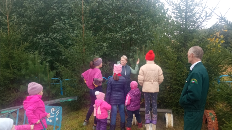 Познавательная программа «Наш лес нам его беречь» в Кировском ЦСДК