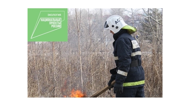 В России вводят запрет на сжигание травы