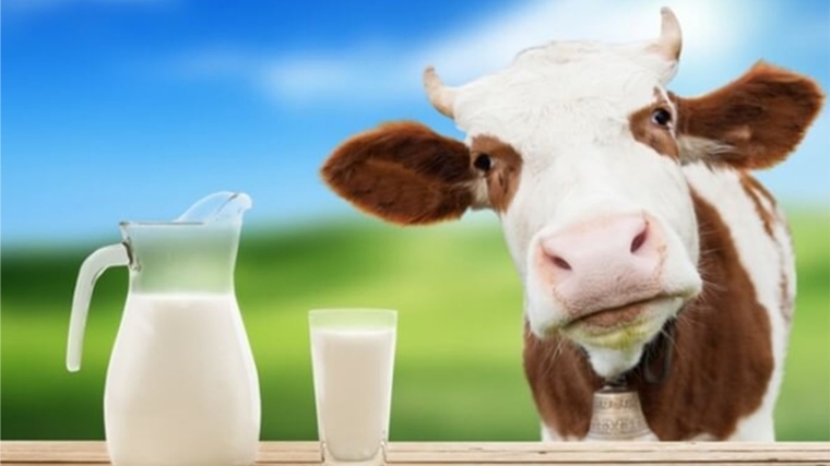 О лабораторных исследованиях молока на рынках столицы Чувашии