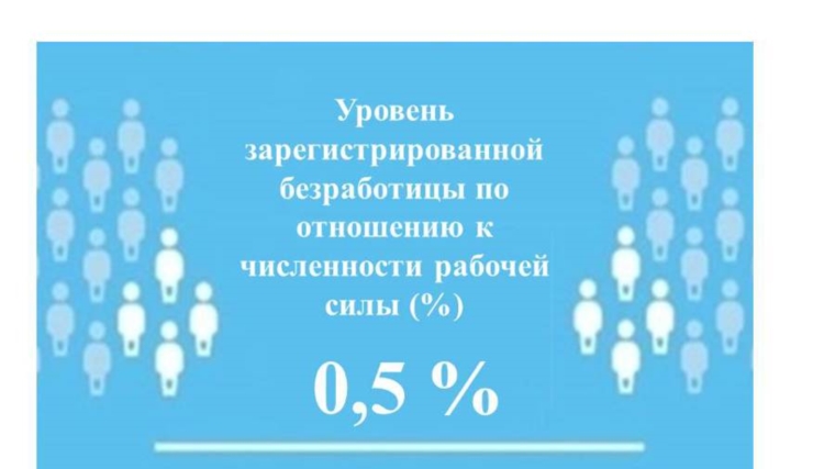 Уровень регистрируемой безработицы в Чувашской Республике составил 0,5%