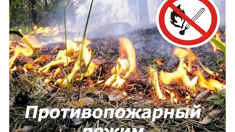 С 10 апреля введен особый противопожарный режим