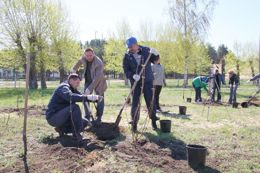 14:30 Городские депутаты и чиновники посадили более 200 деревьев и кустарников в детском парке в Заволжье