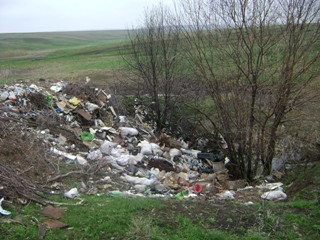 Выявлены несанкционированные свалки твердых бытовых отходов