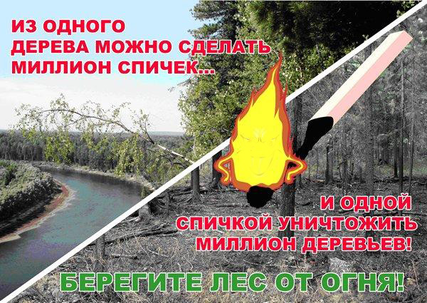 Заповедная природа без пожаров картинки Заповедная природа без пожаров картинки