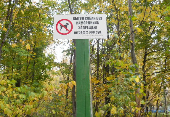 Обращения граждан не остались без внимания: в роще Гузовского установлена табличка о запрете выгула собак без намордников