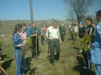 На территории Ходарского сельского поселения организована массовая посадка деревьев