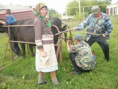платная рыбалка в шумерлинском районе платная рыбалка в шумерлинском районе