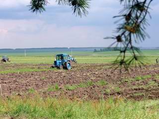 Освоение  неиспользуемых земель - главная задача сельхозпроизводителей Ибресинского района