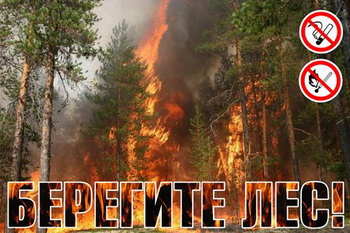 Не попади в беду: если Вы оказались вблизи очага пожара в лесу или на торфяниках
