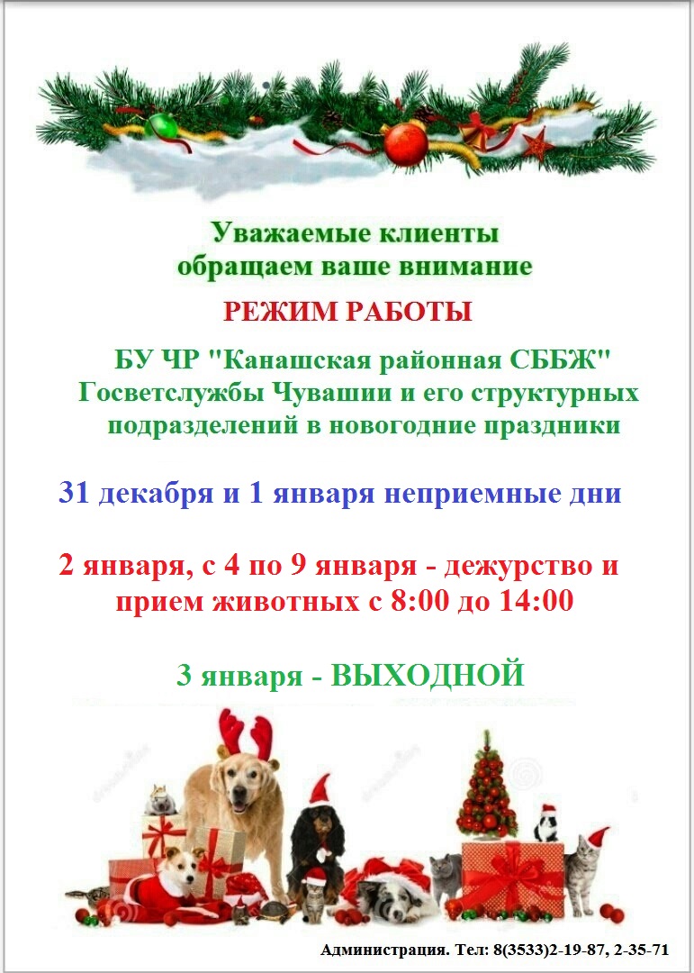 Бюджетное учреждение Чувашской Республики «Канашская районная станция по  борьбе с болезнями животных» Государственной ветеринарной службы Чувашской  Республики » Объявления » О графике дежурства в новогодние праздники