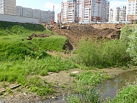 image005.jpg