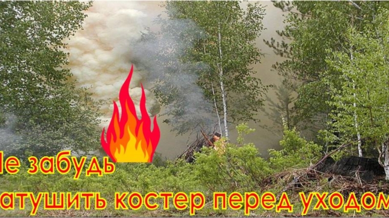 На территории Янтиковского сельского поселения проходит месячник "Береги лес"