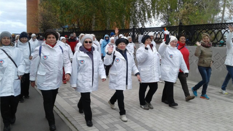 Во Всероссийском дне ходьбы приняли участие 800 пожилых получателей услуг организаций социального обслуживания населения