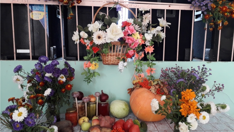 Выставка осенних даров «Овощно-фруктовый коллаж»