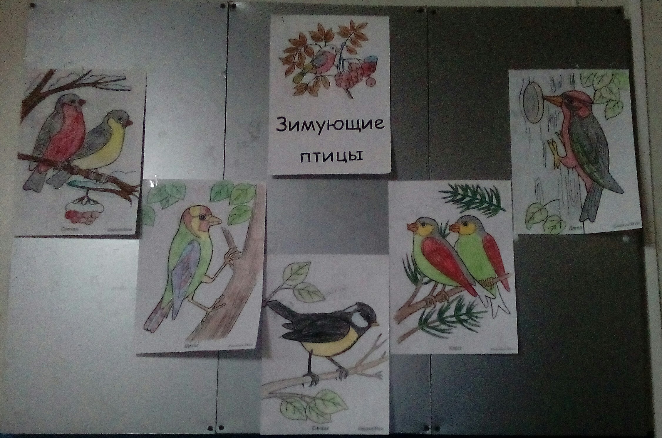 Экологический конкурс рисунков птицы