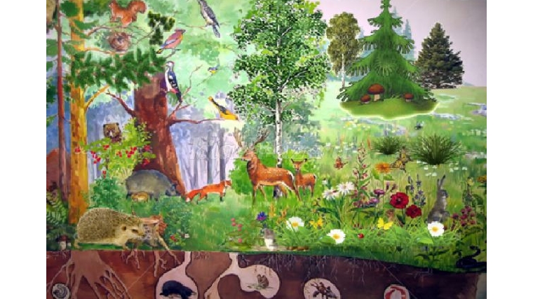 Окружающий мир природа в подготовительной группе. Экосистема лес для детей. Леса для дошкольников. Лес для детей дошкольного возраста. Экосистема леса для дошкольников.