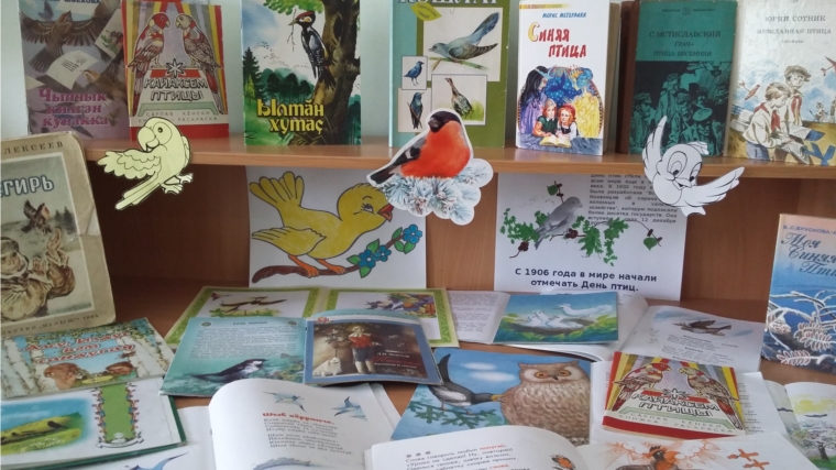 Беседа «Птички — симпатички»: Токаевская сельская библиотека