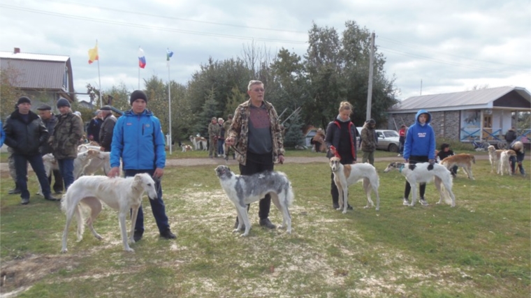 В турбазе «Вольчье логово», расположенной в селе Лащ-Таяба Яльчикского района 29 сентября 2019 года состоялась очередная региональная выставка борзых собак