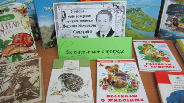 Книжная выставка «Все книжки мои о природе» (Булдеевская с/б)