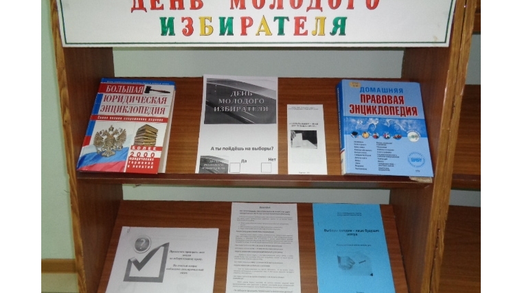 Выборы библиотеки. Выставка ко Дню молодого избирателя. Книжная выставка ко Дню молодого избирателя. Мероприятия по выборам в библиотеке. Выставка молодому избирателю в библиотеке.