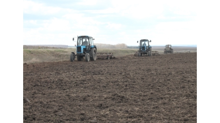 Весенние полевые работы в сельскохозяйственных предприятиях Янгорчинского сельского поселения набирают обороты