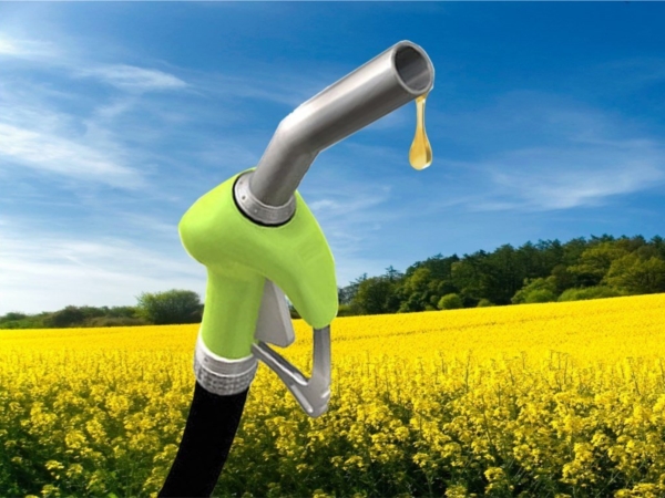 Продовольственный фонд Чувашской Республики предлагает сельхозтоваропроизводителям Чувашской Республики дизельное топливо