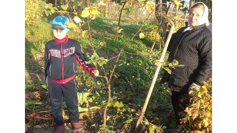 Честь и хвала старшему поколению