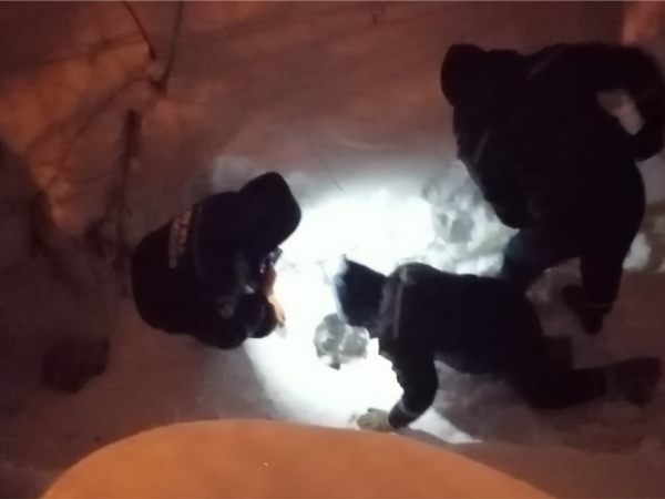 В Чувашии жители со спасателями вытащили застрявшего под плитой щенка