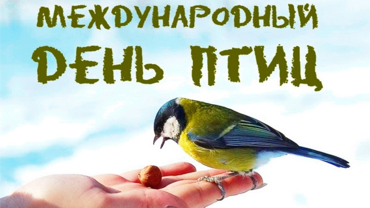 Экологическая встреча "Птицы - наши друзья"