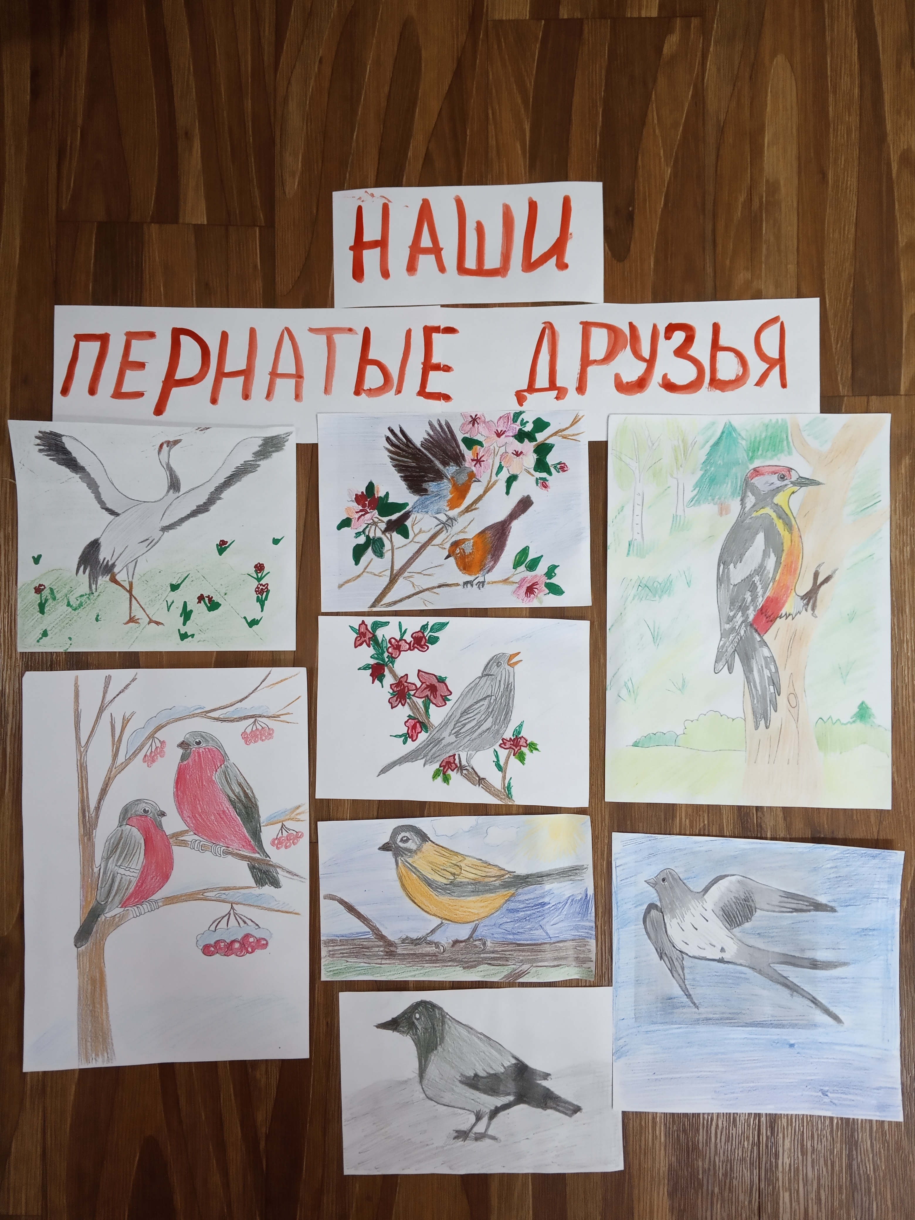 Удивительный мир птиц конкурс рисунков 9 лет