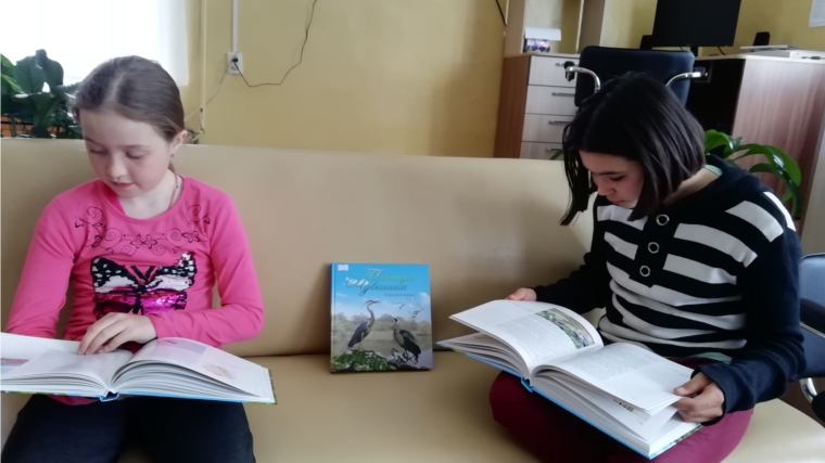 В Русско-Алгашинской сельской библиотеке прошла экологическая игра- викторина «Мы твои друзья, природа»