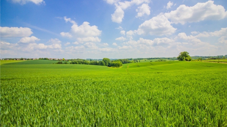В 7 муниципальных районах республики выполнены плановые показатели сева яровых зерновых культур