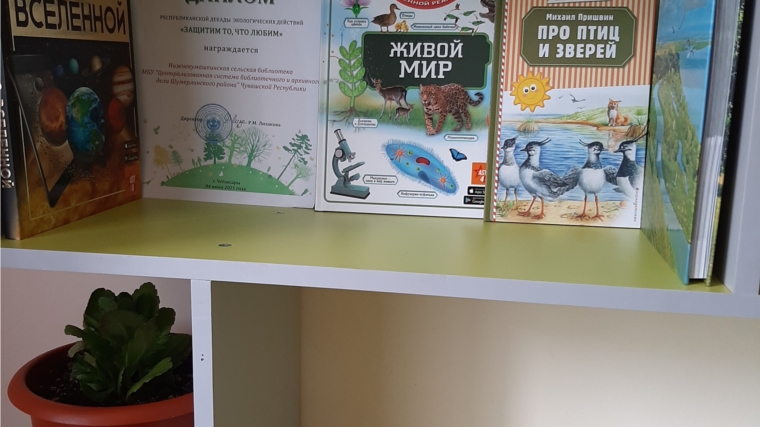 В копилке достижений Нижнекумашкинской сельской библиотеки Диплом республиканской декады экологических действий «Защитим то, что любим».