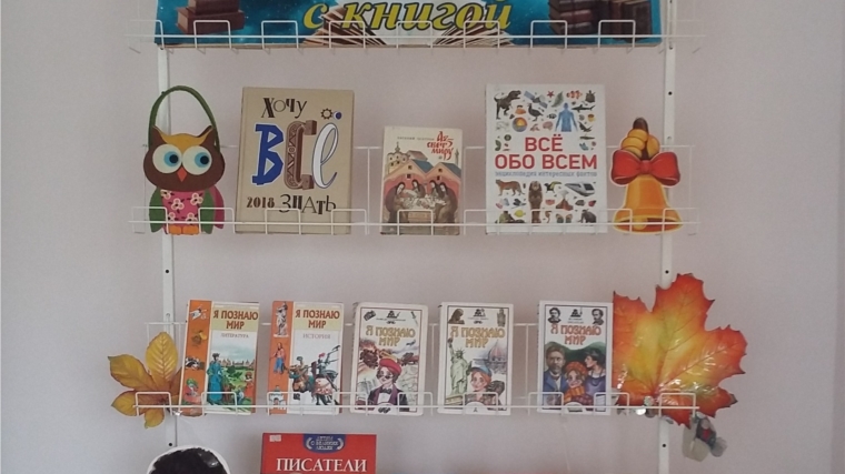 Книжная выставка в Александровской сельской библиотеке «В мир знаний с книгой»