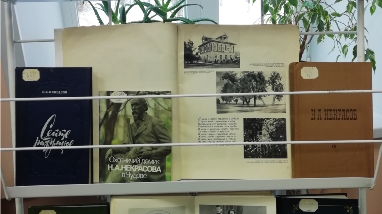 На абонементе Межпоселенческой библиотеки оформлена книжно - иллюстративная выставка «Я лиру посвятил народу своему»