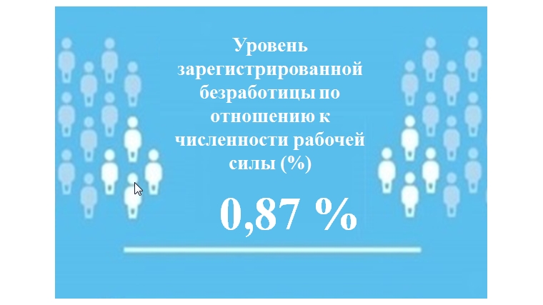 Уровень регистрируемой безработицы в Чувашской Республике составил 0,87 %
