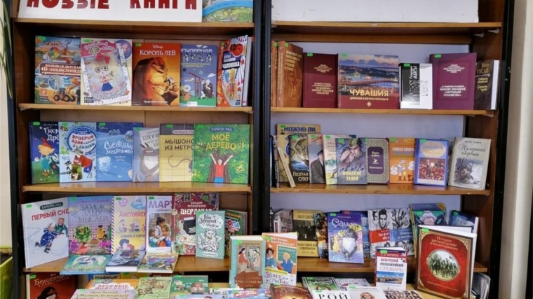 «В новый год – с новой книгой»: Асановская сельская библиотека