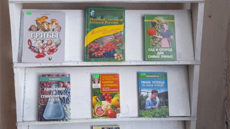 В Шераутской сельской библиотеке оформлена книжная выставка-совет «Маленькие хитрости большого урожая»