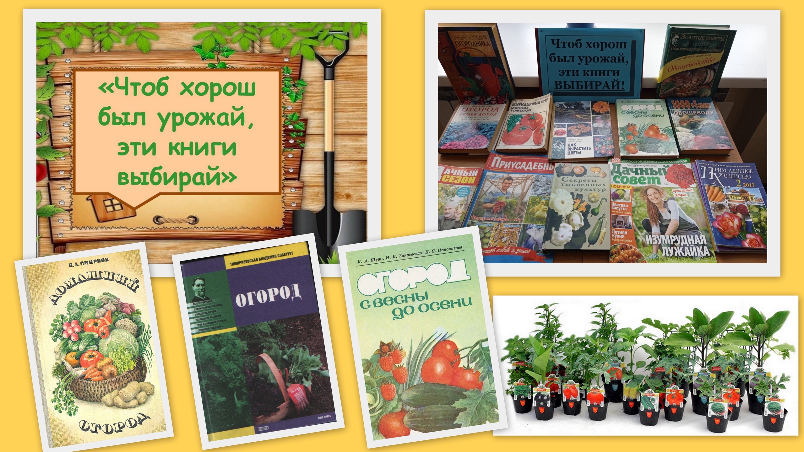 Выставка вам садоводы и огородники