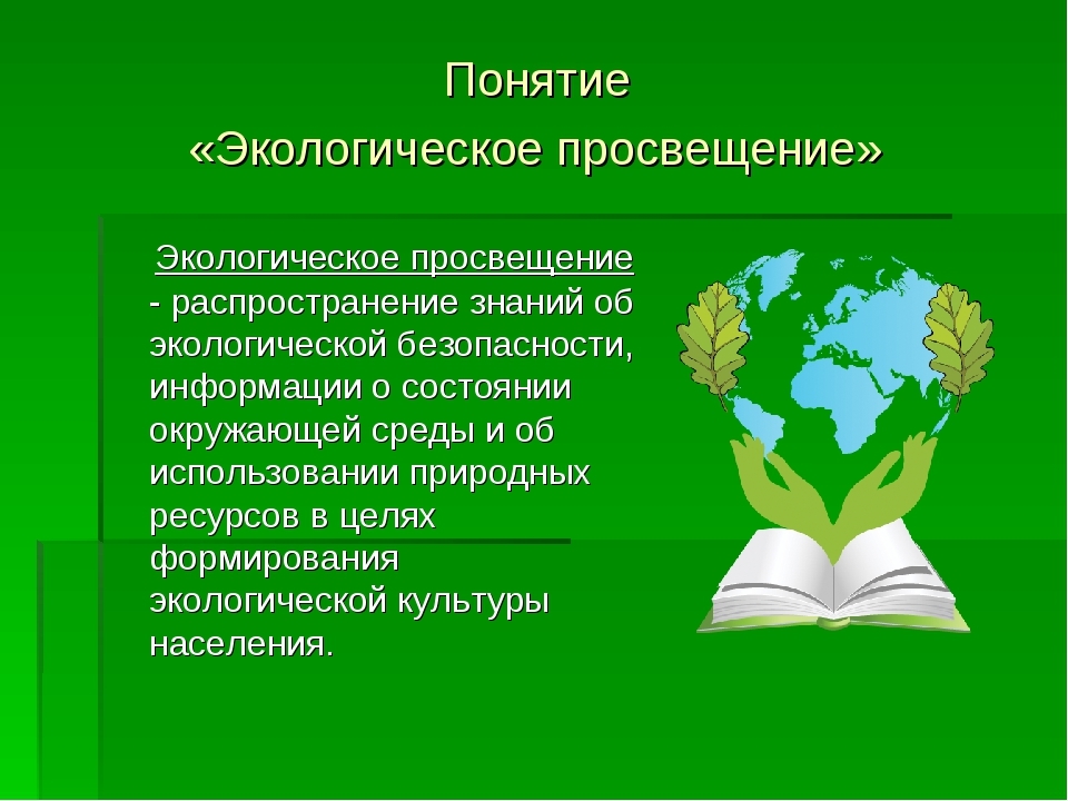 Экологическое образование и просвещение