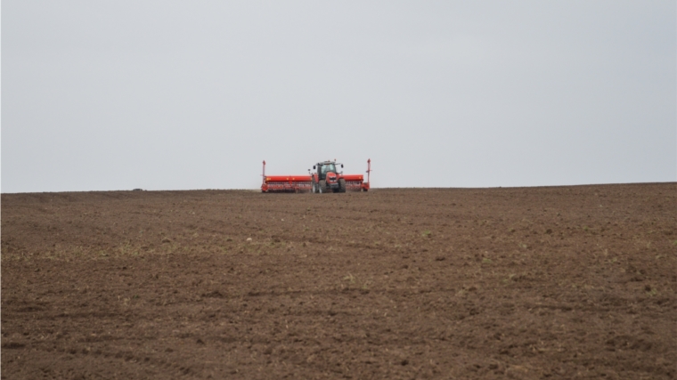 На 23 мая в хозяйствах республики посеяно 140 тыс. га яровых зерновых и зернобобовых культур