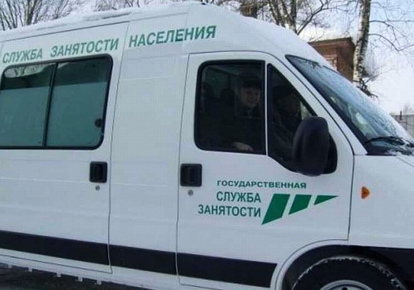 Занятость хвойная