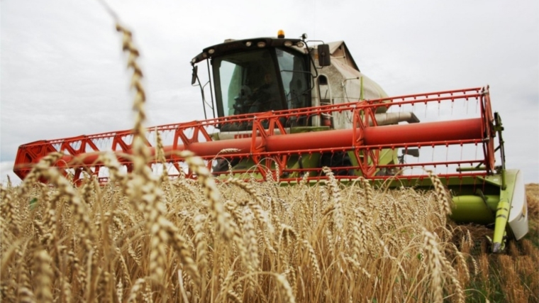 Аграрии в России уже собрали 1,1 млн тонн зерна нового урожая