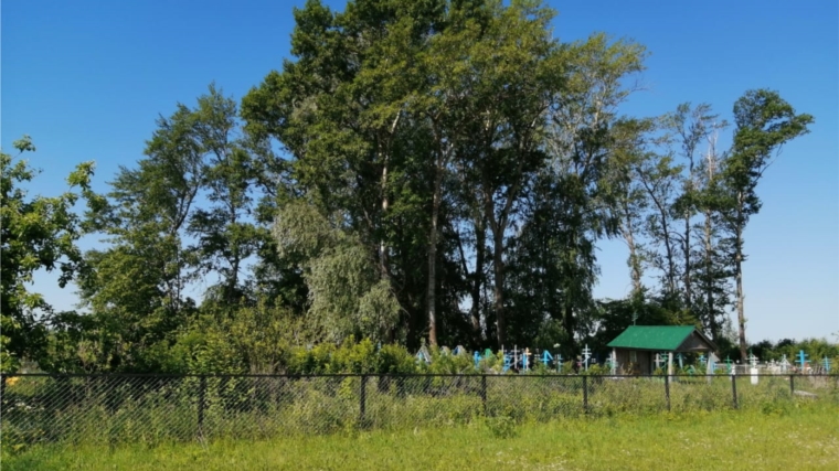 В Сиявском сельском поселении завершены работы по вырубке деревьев на гражданских кладбищах в с.Сиява и с.Гарт, основанных на местных инициативах.