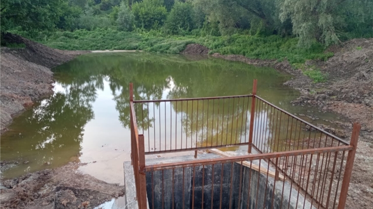 В селе Яншихово-Норваши очистили пруд